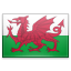 shiny Wales icon